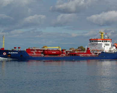 ALGONOVA
