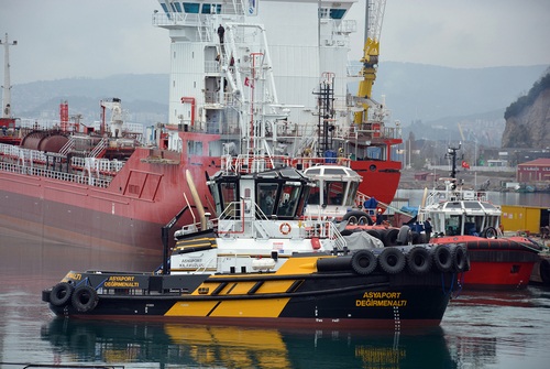 ASYAPORT DEGIRMENALTI