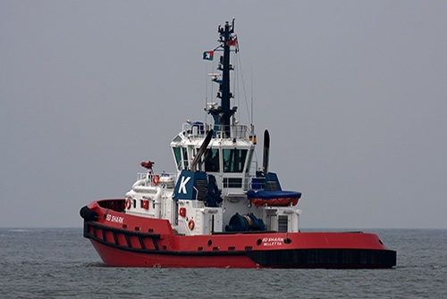 SD SHARK